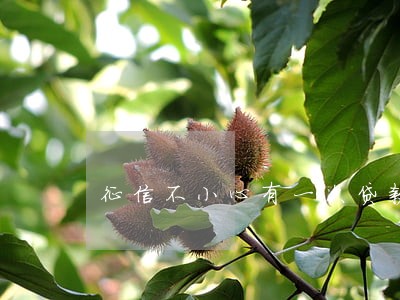 征信不小心有一次贷款逾期 征信不小心有一次贷款逾期