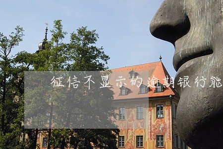征信不显示的逾期银行能查到吗 征信不显示的逾期银行能查到吗