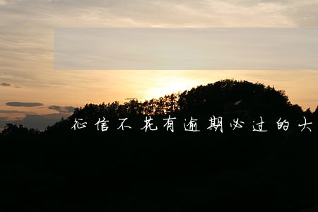 征信不花有逾期必过的大额网贷 征信不花有逾期必过的大额网贷