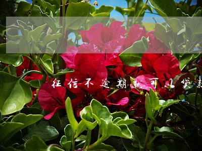 征信不逾期就可以贷款吗 征信不逾期就可以贷款吗