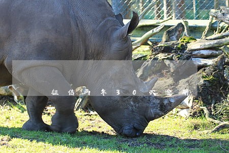 征信两年30次逾期 征信两年30次逾期