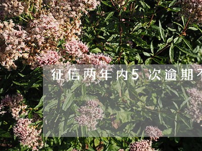 征信两年内5次逾期不超过90天 征信两年内5次逾期不超过90天