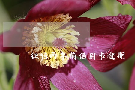 征信两年前信用卡逾期