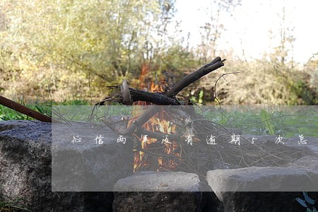 征信两年没有逾期5次怎么办