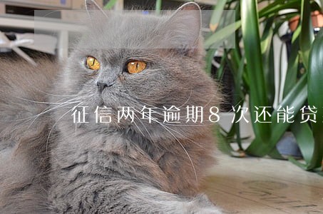 征信两年逾期8次还能贷款吗 征信两年逾期8次还能贷款吗