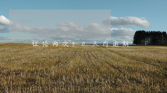 征信两次90天内逾期 征信两次90天内逾期