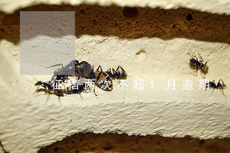 征信两次不超1月逾期 征信两次不超1月逾期