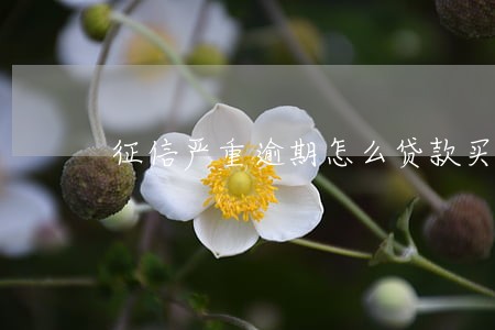 征信严重逾期怎么贷款买房 征信严重逾期怎么贷款买房