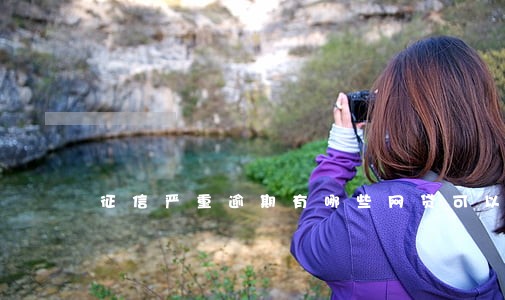 征信严重逾期有哪些网贷可以