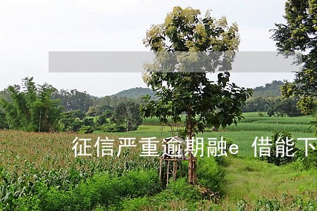 征信严重逾期融e借能下款吗 征信严重逾期融e借能下款吗