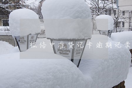 征信中准贷记卡逾期记录3