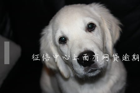 征信中心上面有网贷逾期 征信中心上面有网贷逾期