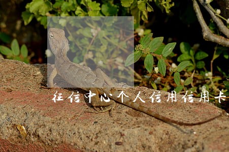 征信中心个人信用信用卡逾期