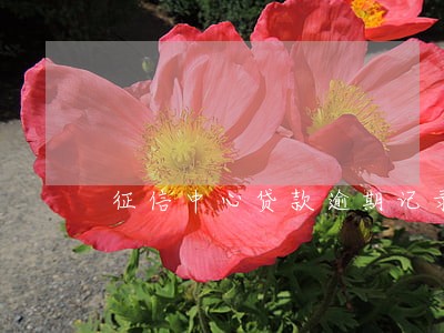 征信中心贷款逾期记录 征信中心贷款逾期记录