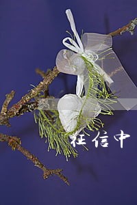 征信中有1次网贷逾期 征信中有1次网贷逾期