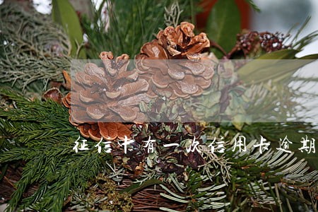 征信中有一次信用卡逾期有影响