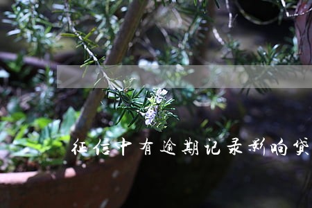 征信中有逾期记录影响贷款吗 征信中有逾期记录影响贷款吗