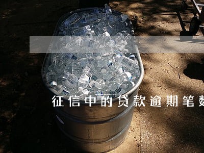 征信中的贷款逾期笔数 征信中的贷款逾期笔数