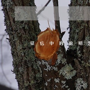征信中的逾期怎么查找是哪家银行 征信中的逾期怎么查找是哪家银行