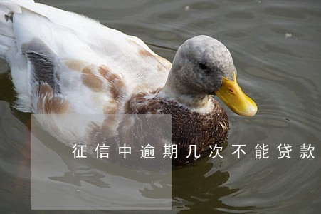 征信中逾期几次不能贷款 征信中逾期几次不能贷款