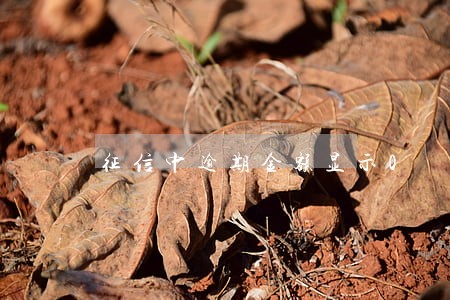 征信中逾期金额显示0 征信中逾期金额显示0