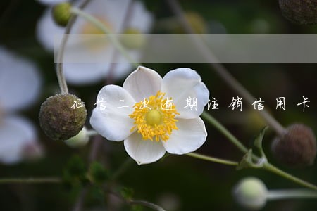 征信二次逾期注销信用卡 征信二次逾期注销信用卡