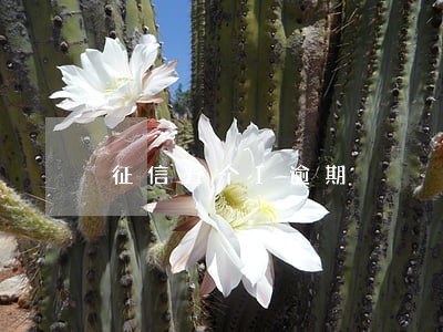 征信五个1逾期 征信五个1逾期