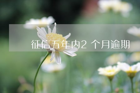 征信五年内2个月逾期 征信五年内2个月逾期