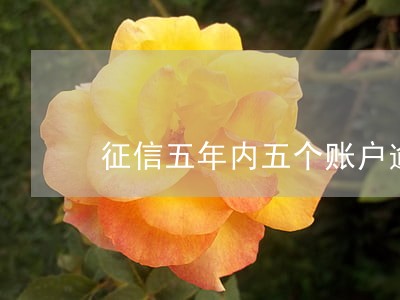 征信五年内五个账户逾期22次 征信五年内五个账户逾期22次