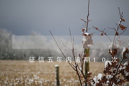 征信五年内逾期10次 征信五年内逾期10次