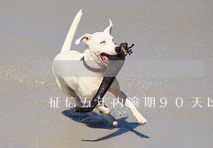 征信五年内逾期90天以上 征信五年内逾期90天以上