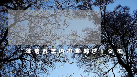 征信五年内逾期超过12次 征信五年内逾期超过12次