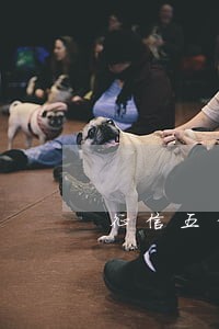 征信五年前逾期4次