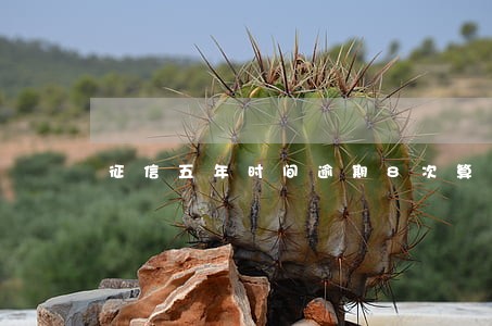 征信五年时间逾期8次算黑户吗 征信五年时间逾期8次算黑户吗