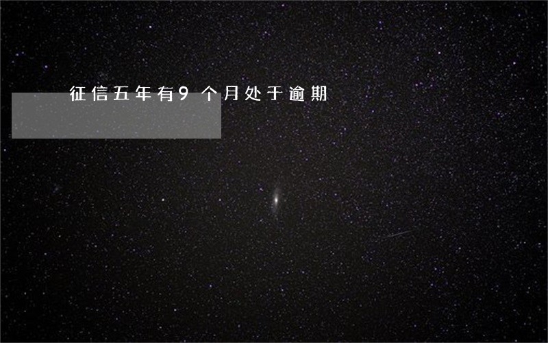 征信五年有9个月处于逾期 征信五年有9个月处于逾期