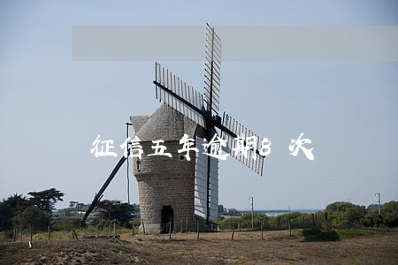 征信五年逾期8次