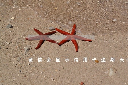 征信会显示信用卡逾期天数 征信会显示信用卡逾期天数