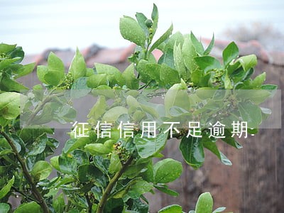 征信信用不足逾期 征信信用不足逾期