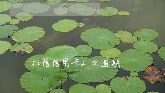 征信信用卡2次逾期