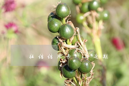 征信信用卡9次逾期 征信信用卡9次逾期