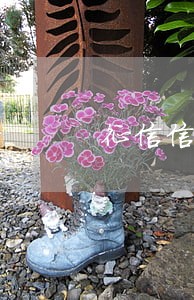 征信信用卡五年逾期6次