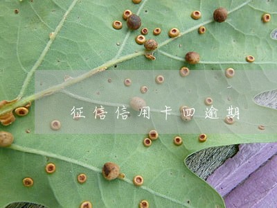 征信信用卡四逾期