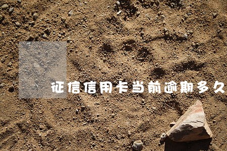 征信信用卡当前逾期多久能更新