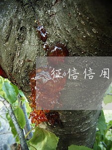 征信信用卡有一次30天逾期