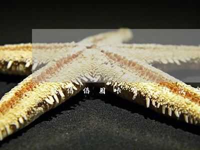 征信信用卡有欠款没逾期 征信信用卡有欠款没逾期