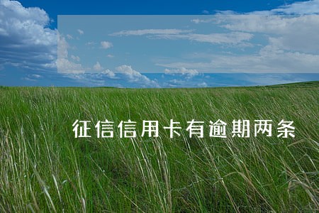 征信信用卡有逾期两条 征信信用卡有逾期两条