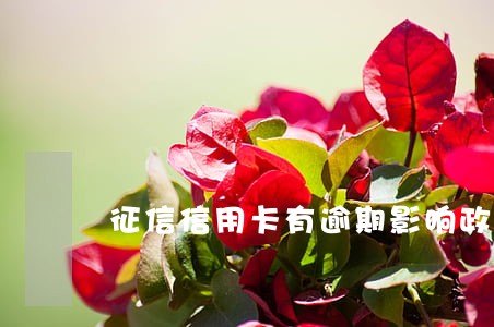 征信信用卡有逾期影响政审吗
