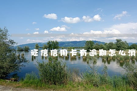 征信信用卡有逾期怎么消除 征信信用卡有逾期怎么消除