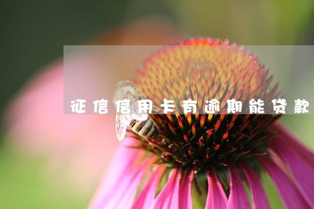 征信信用卡有逾期能贷款吗 征信信用卡有逾期能贷款吗