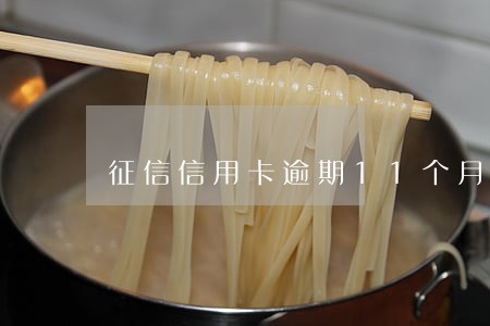 征信信用卡逾期11个月 征信信用卡逾期11个月